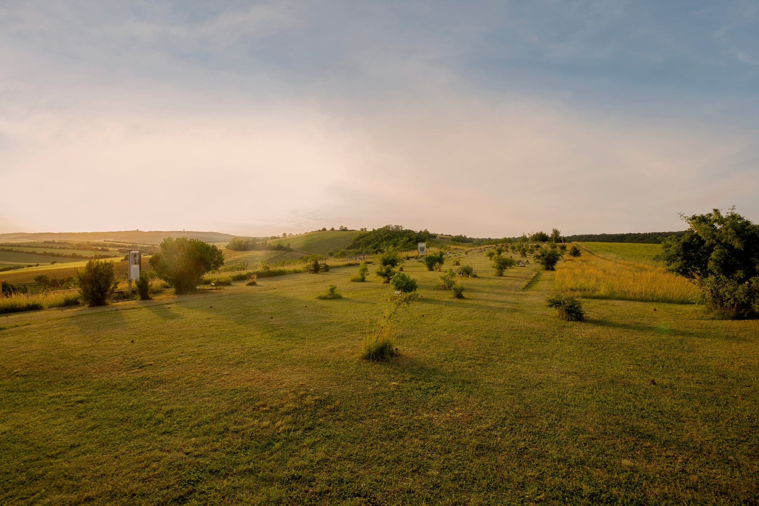 Panoramablick über das Weinviertel von der Urnenwiese